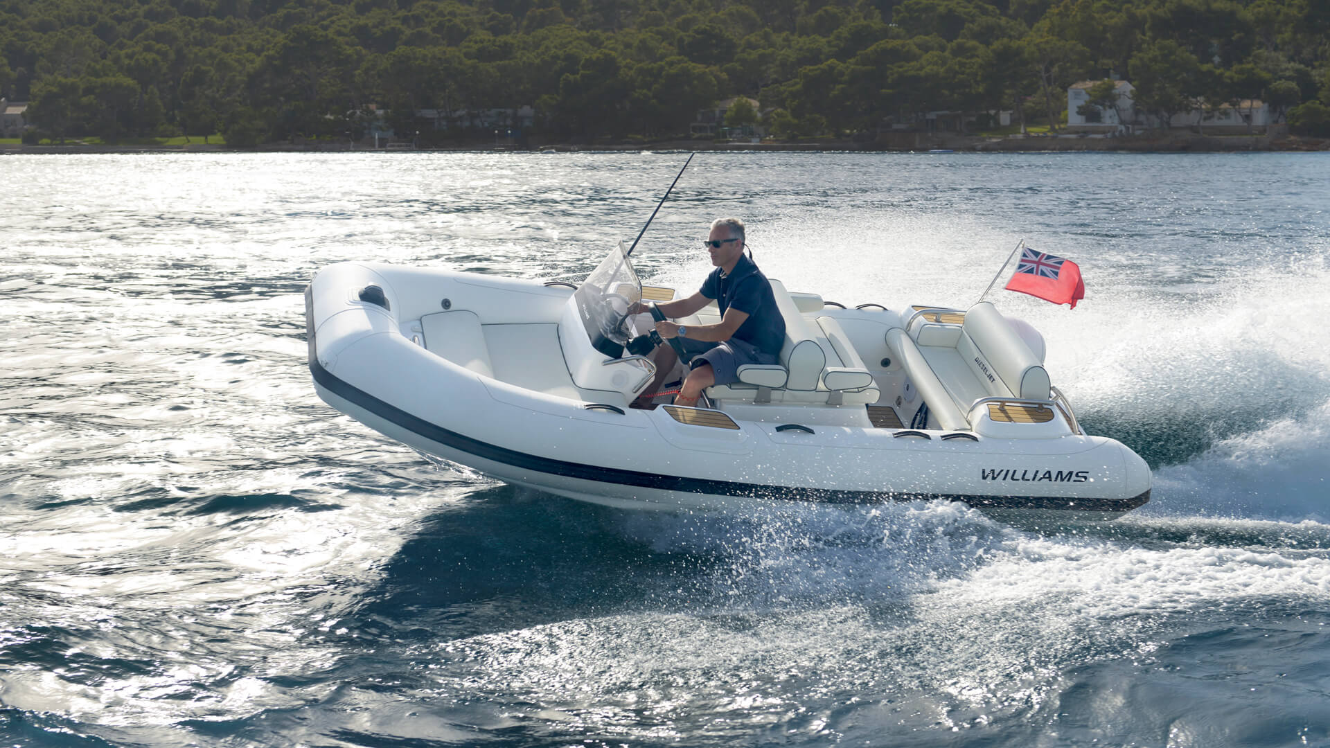 Williams DieselJet 445 jet tender underway